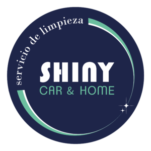 Limpieza de vehículos y muebles en Valencia